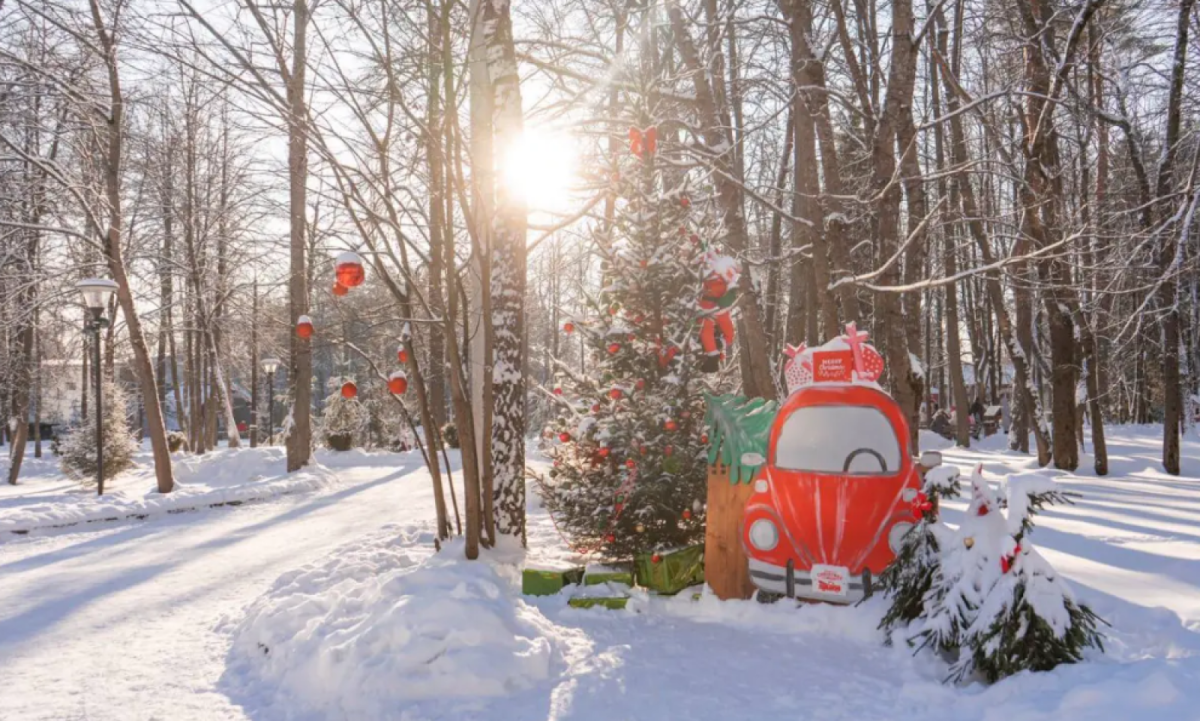 Сказочный зимний отдых